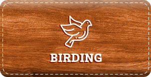 birding-icon