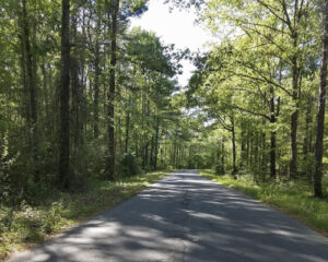 Rural Road Vernon Parish